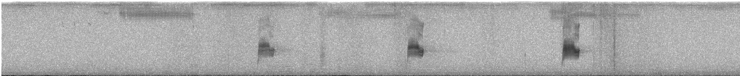 Common Nighthawk - ML646225710