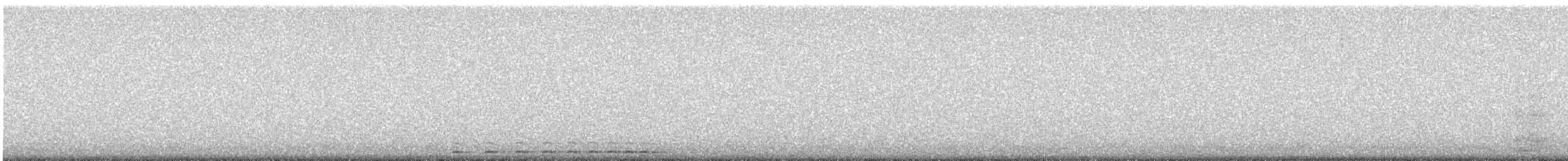 Western Screech-Owl - ML646226029