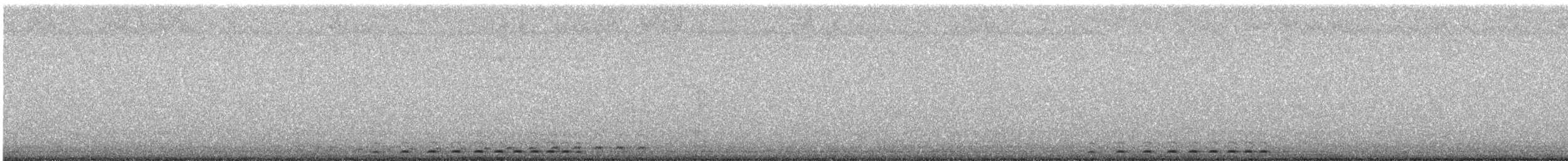 Western Screech-Owl - ML646226030