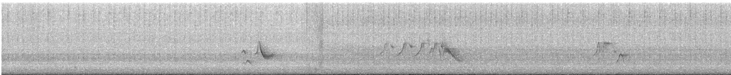 Cassin's Vireo - ML646226306