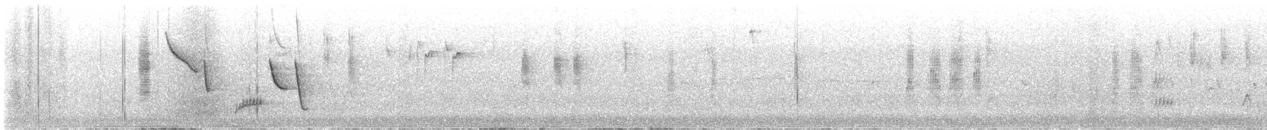 Brown Thornbill - ML646226687