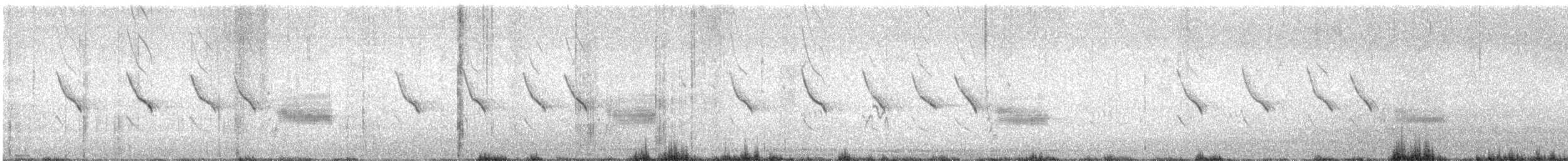 Rendeci Yelpazekuyruk - ML646227051