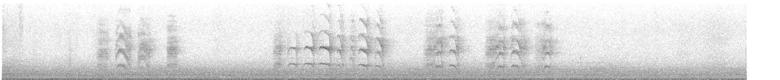 Jungle Babbler - ML646227533