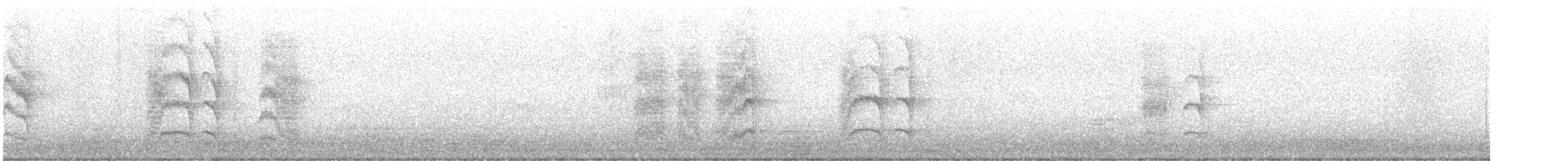 Jungle Babbler - ML646227535