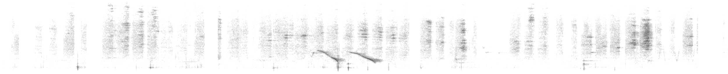 White-browed Scrubwren - ML646227683