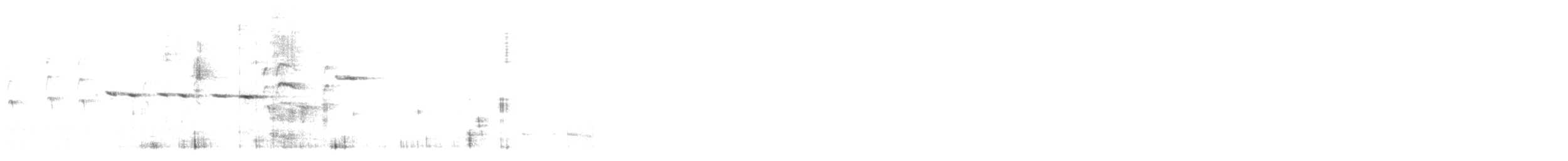 Gray Fantail - ML646227684