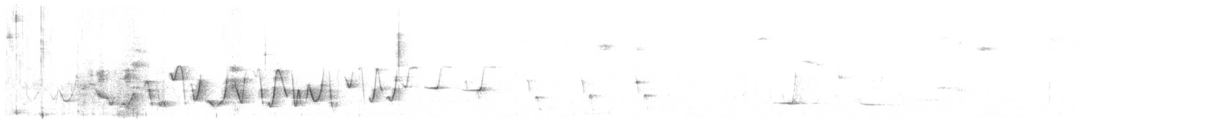 Schlichtmantel-Dickkopf - ML646227695