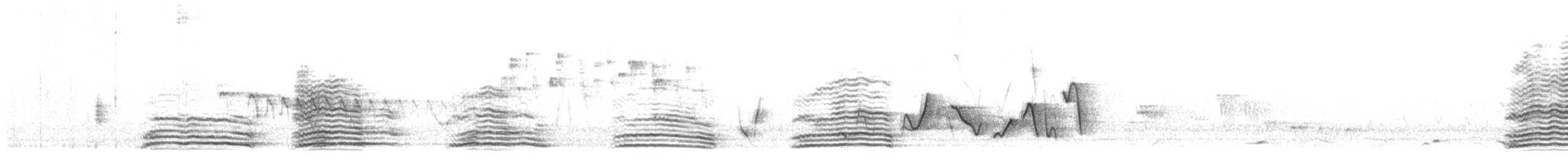 Neuhollandkrähe (coronoides) - ML646227709