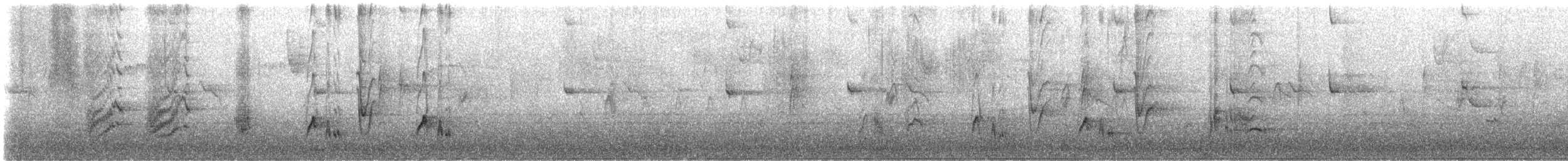 California Thrasher - ML646227728