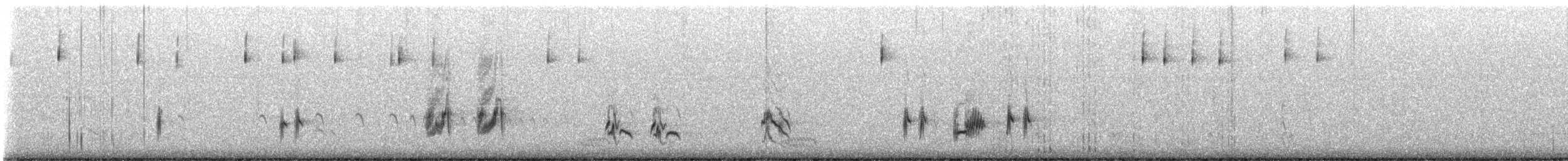 Bell's Sparrow - ML646227827