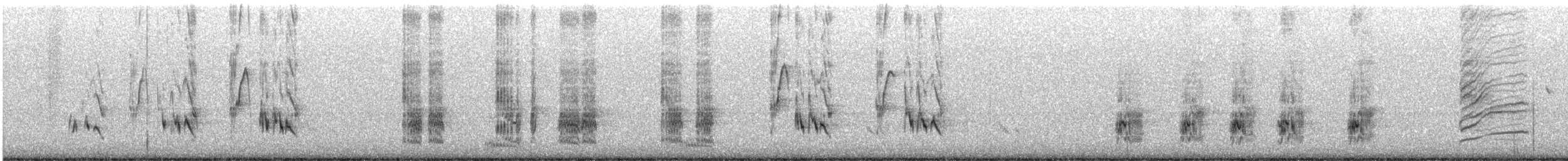 California Thrasher - ML646227832