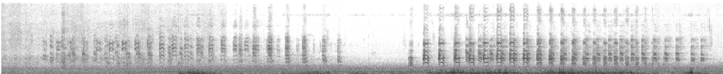 Ridgway's Rail (Light-footed) - ML646228218