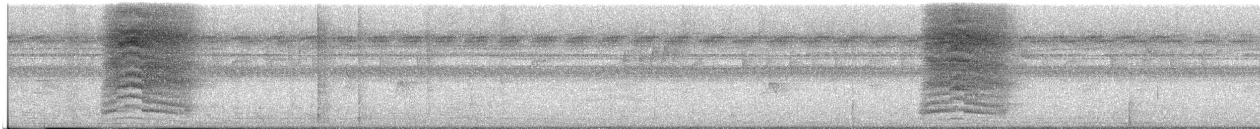 Loriot de Chine (diffusus) - ML646228421