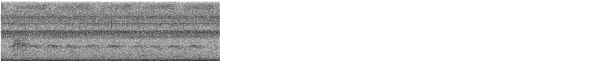 Guêpier de Leschenault - ML646228431