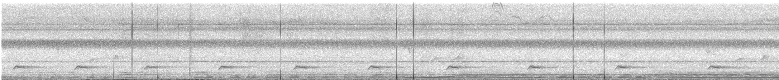 Blue-eared Barbet - ML646228475