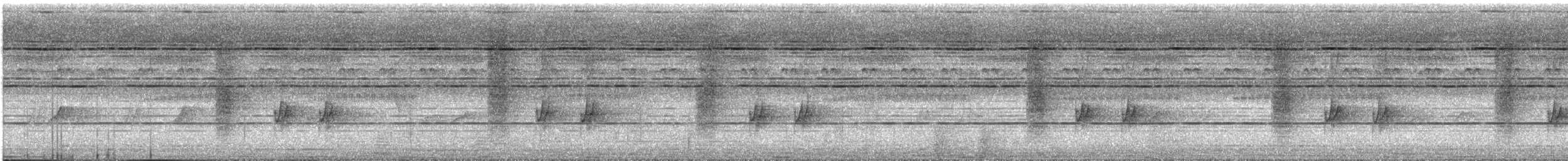 Ashy Drongo (Sooty) - ML646228515