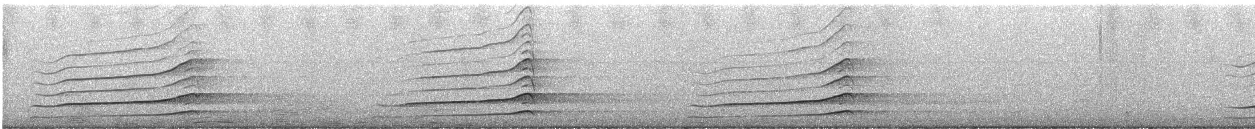 Spotted Owl (Northern) - ML646228573