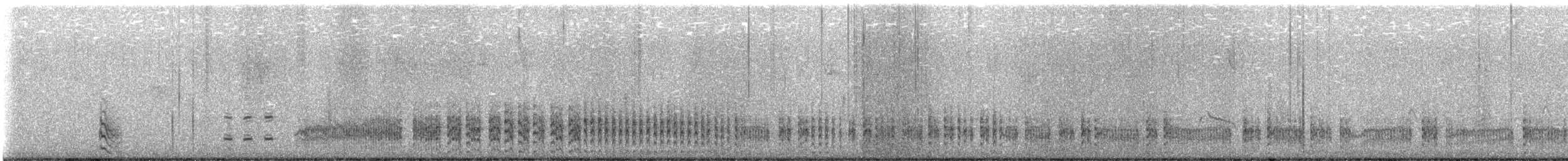 Schieferralle - ML646228632