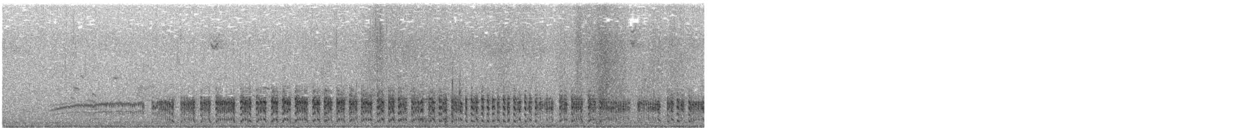 Schieferralle - ML646228635