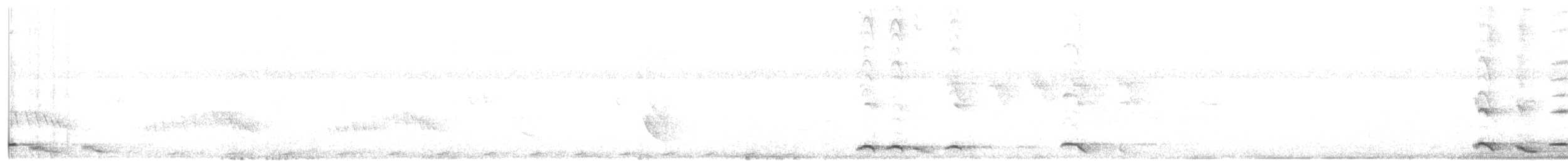 Black Butcherbird - ML646228785