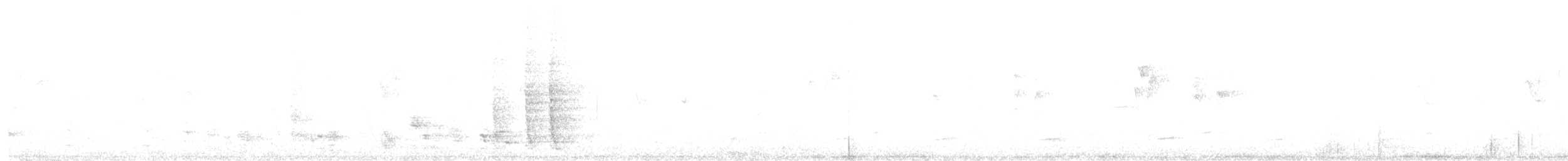 Spangled Drongo - ML646228786