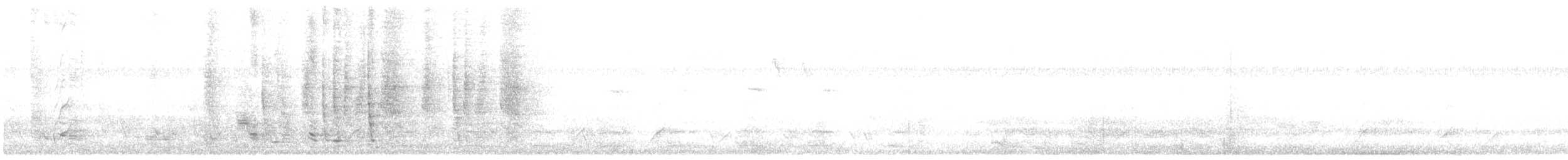 Spangled Drongo - ML646228787