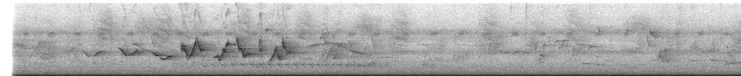 ハシブトアメリカムシクイ - ML646229333