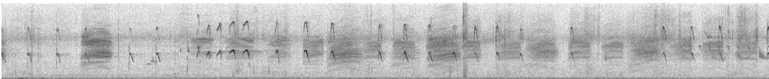 鷹斑鷸 - ML646229503