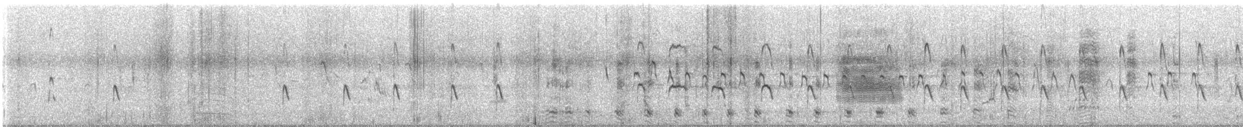 鷹斑鷸 - ML646229504