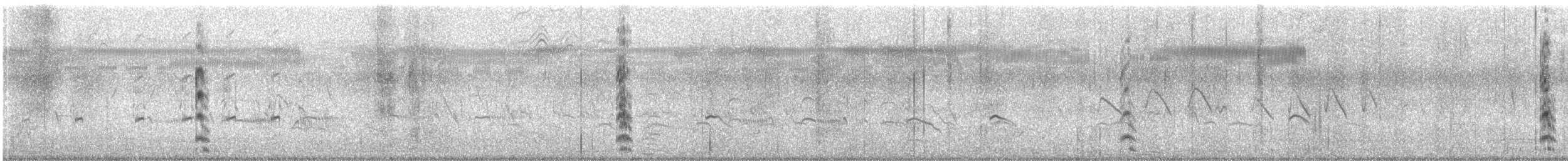 白冠雞 - ML646229517