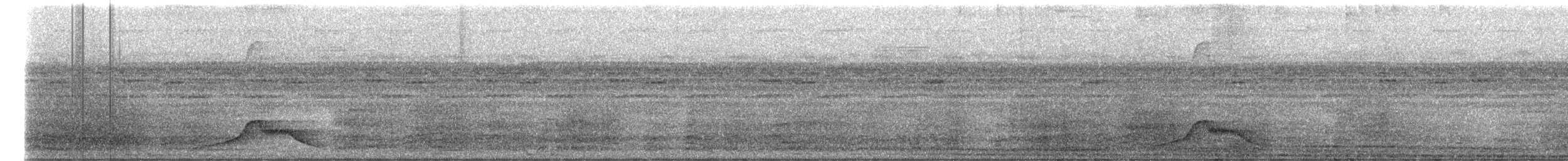 Common Pauraque - ML646229742