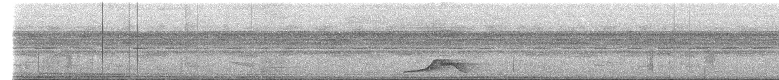 Common Pauraque - ML646229743