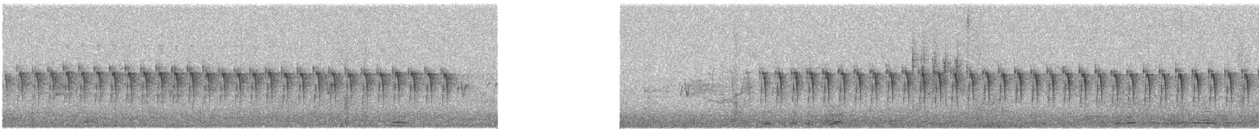 Karoo Prinia - ML646229990