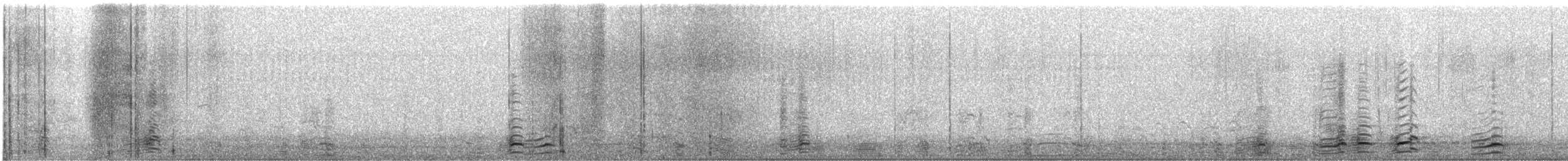 Branta kanadar handia - ML646230441