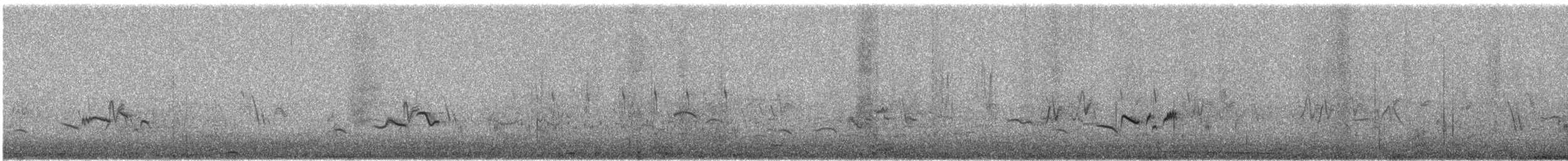 Cape Robin-Chat - ML646230461