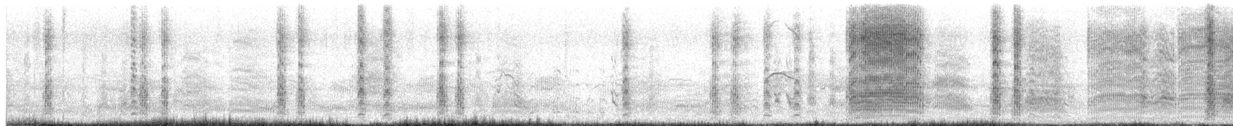 Zilar-antxeta - ML646230499