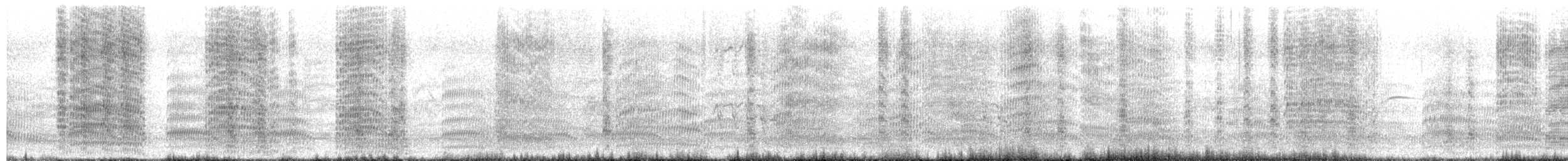 Zilar-antxeta - ML646230501