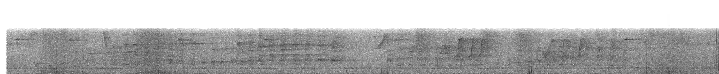 Oriental Pied-Hornbill - ML646230618