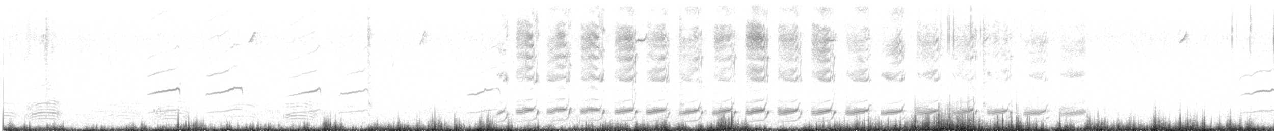 Gray Butcherbird - ML646230628