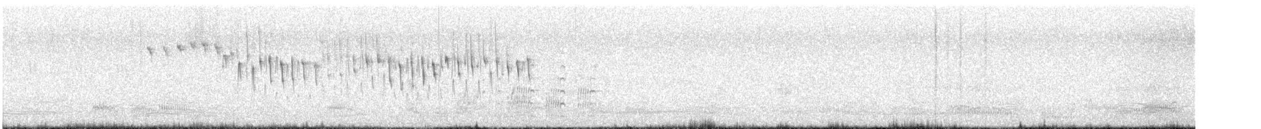 Superb Fairywren - ML646230671