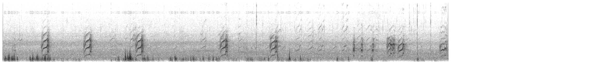 Txenadatxo australiarra - ML646230827