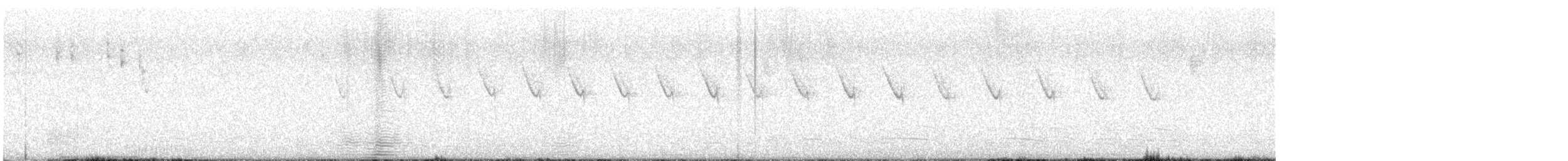 Spotted Scrubwren - ML646230962