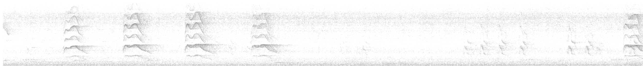 krahujec šikra - ML646232323