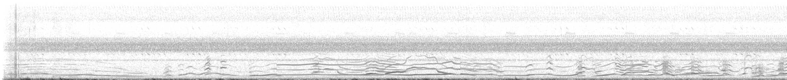 Coyote - ML646232375