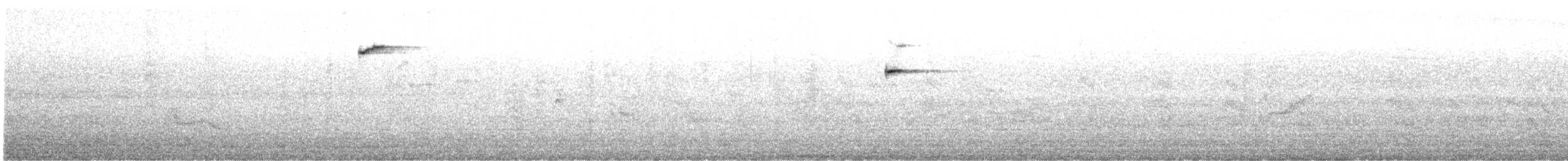 Giant Hummingbird - ML646232474