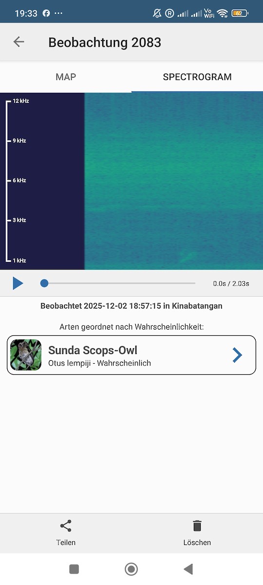 krageugle - ML646232971