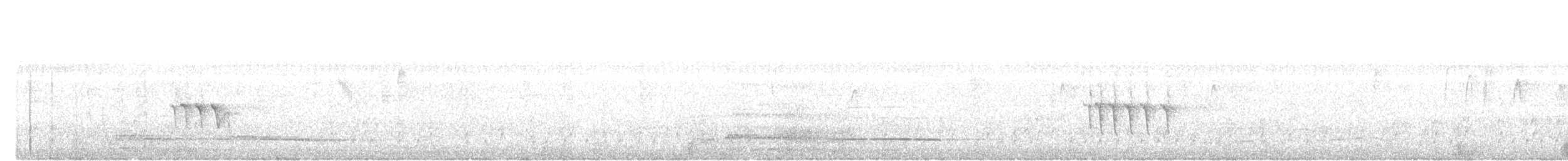 Yellow-bellied Prinia - ML646233051