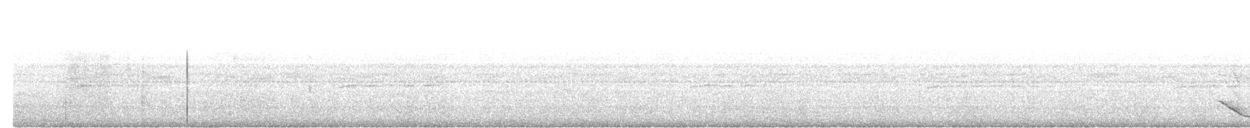 loskuták posvátný - ML646233063