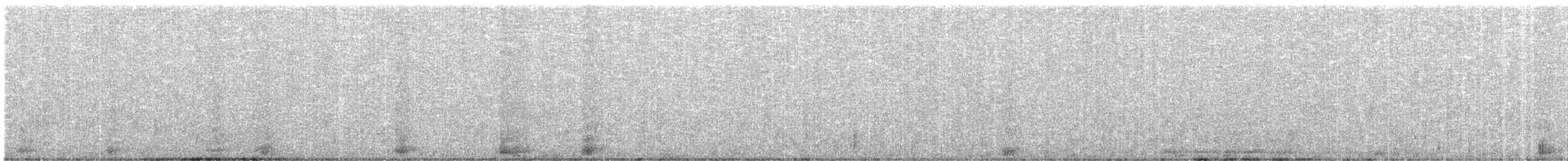 puštík bělavý - ML646233093