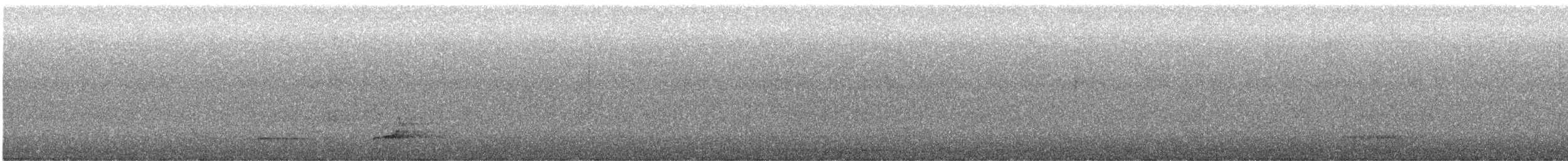 křepel virginský - ML646233214